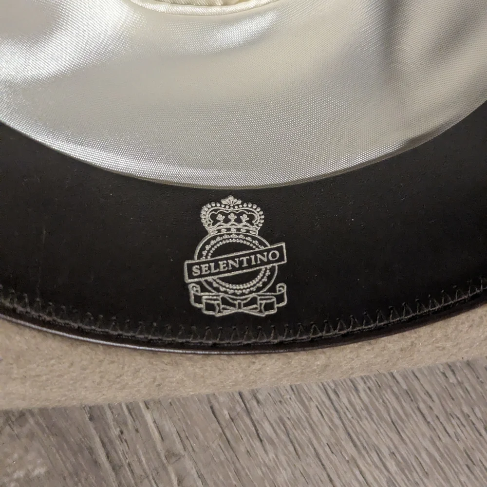 Classic Tan Fedora with Feather Accent - Picture 5 of 9